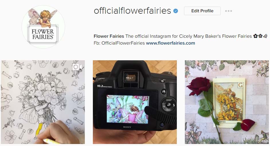 insta profile screenshot final