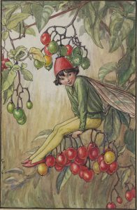 Nightshade Berry flower fairy
