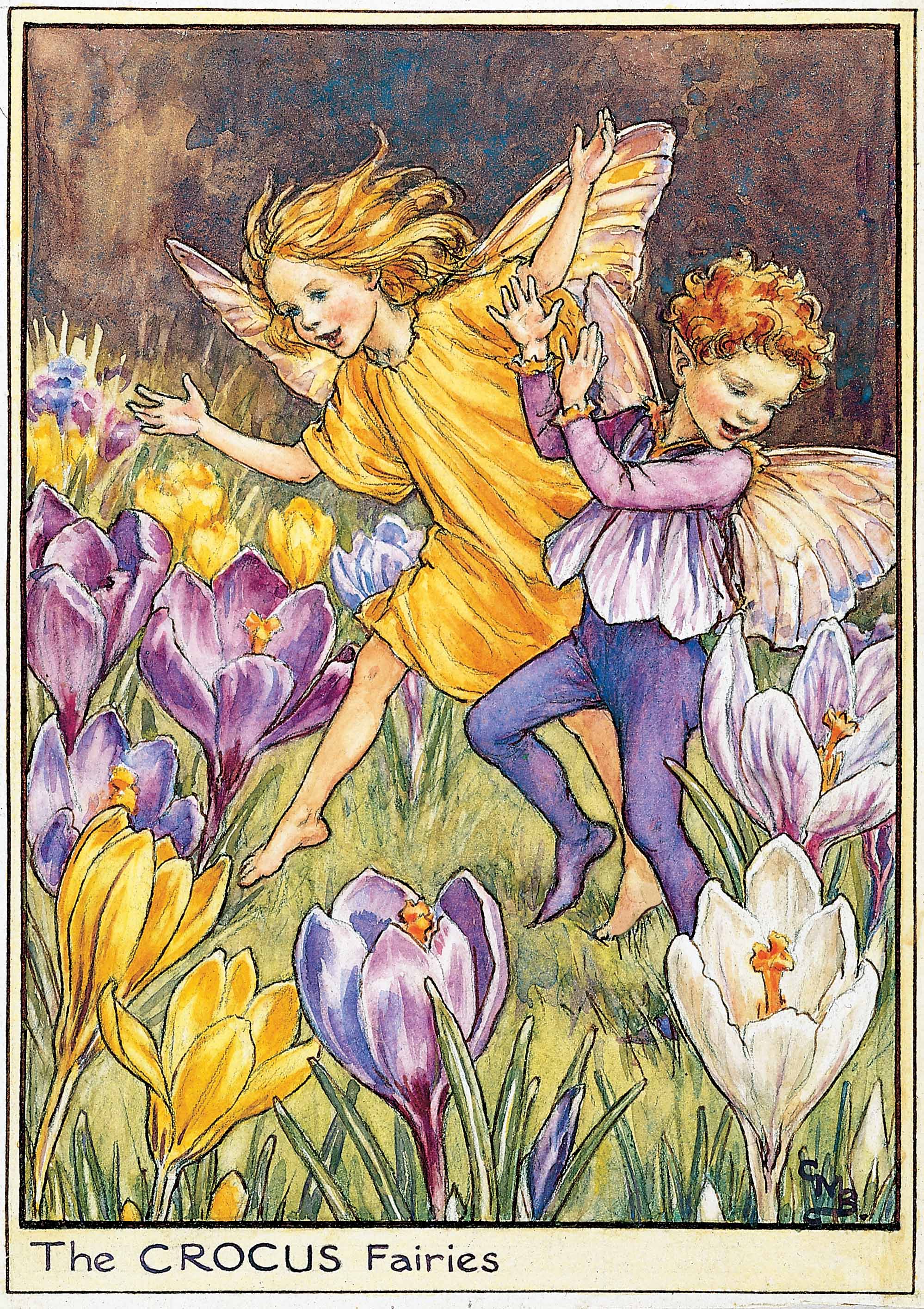 Crocus Flower Fairies