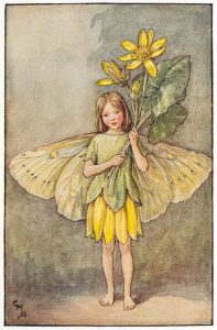 Celandine Flower Fairies