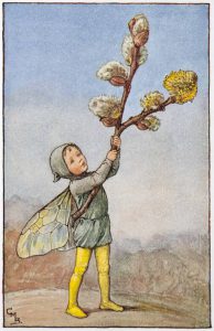 Willow-Catkin Flower Fairies