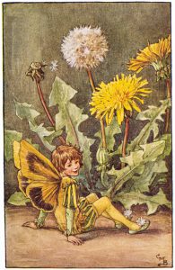 Dandelion Flower Fairies