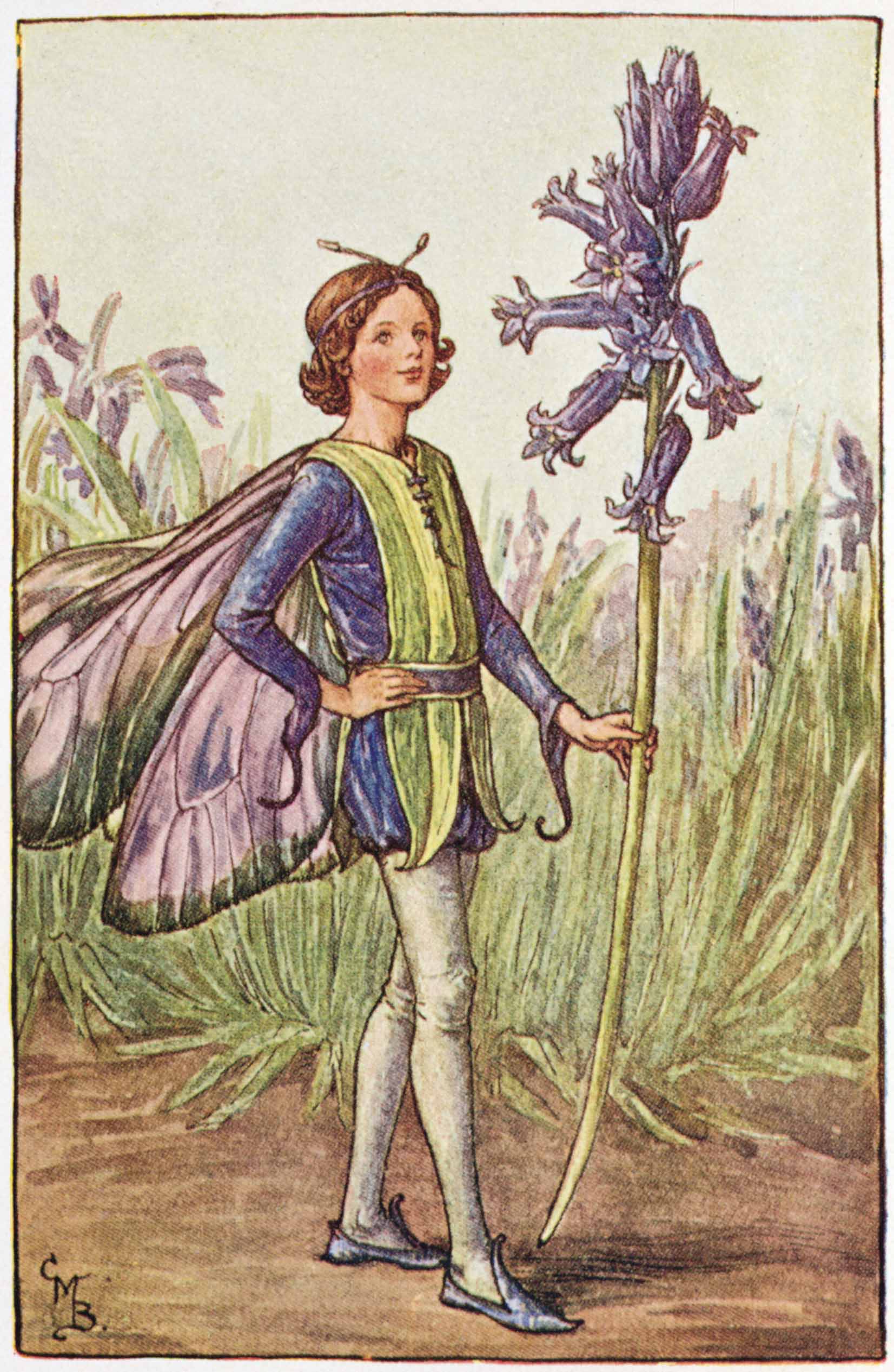 Bluebell Flower Fairies