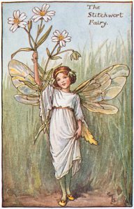 Stitchwort Flower Fairies