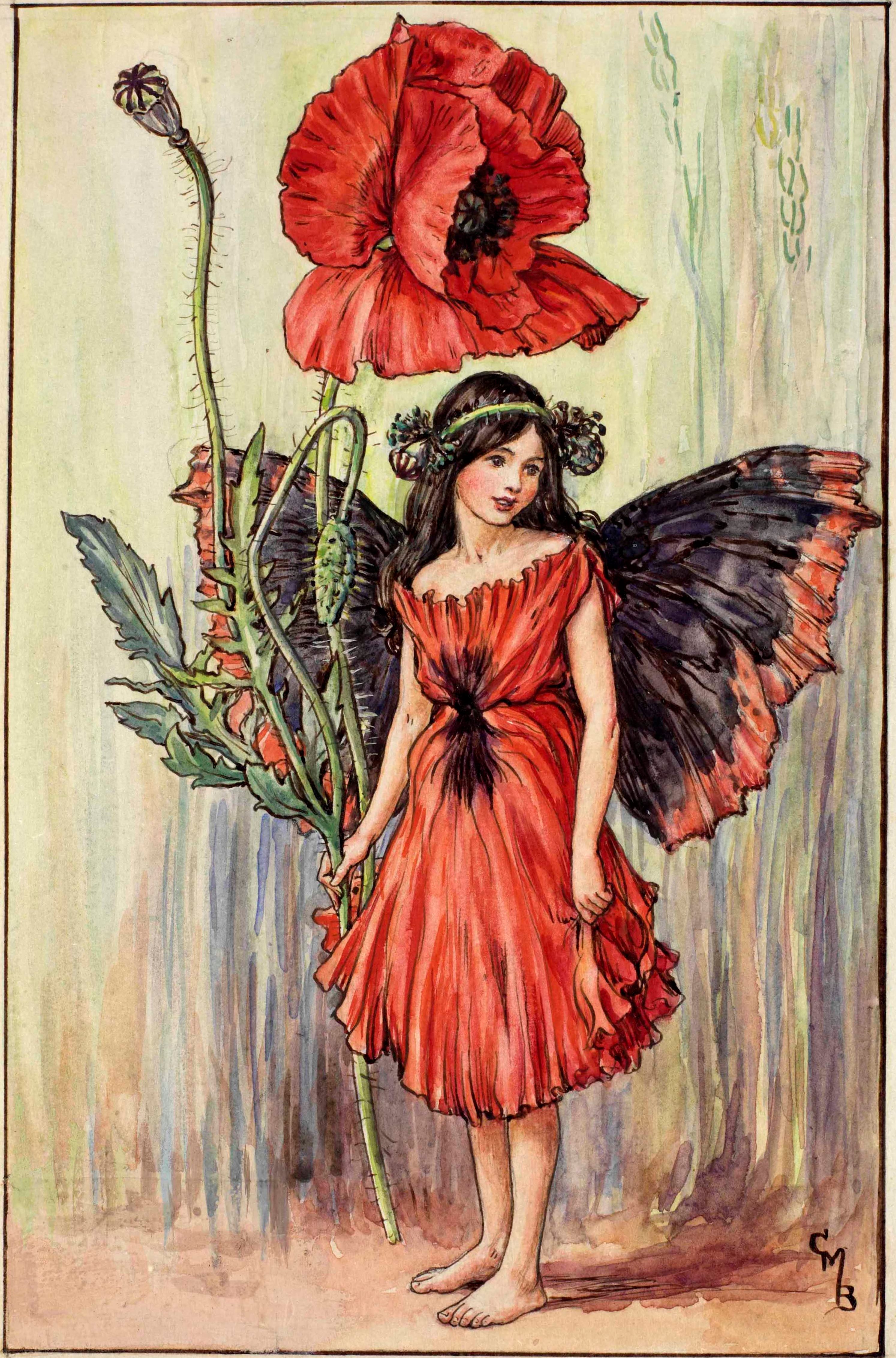 Poppy flower fairies