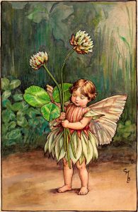 White clover flower fairies