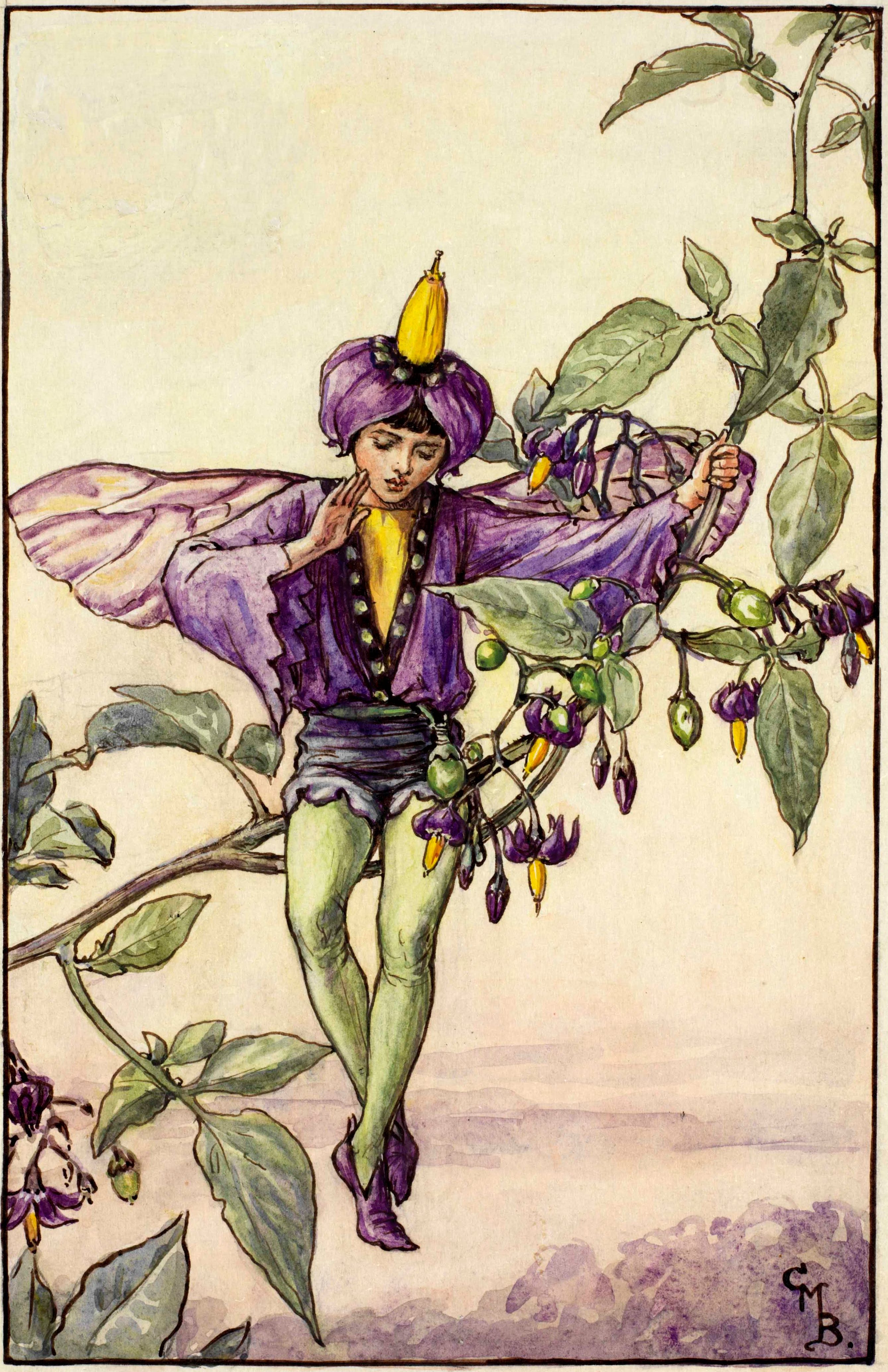Nightshade flower fairies