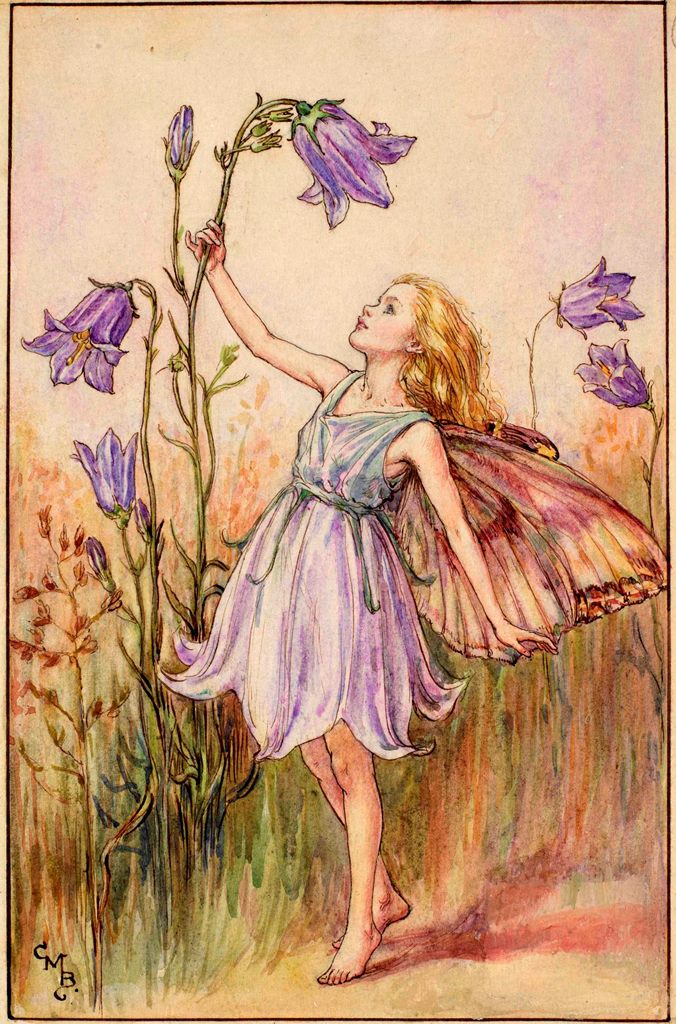 Harebell flower fairies