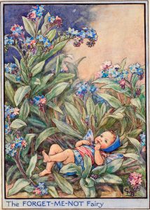 Forget-me-not flower fairy