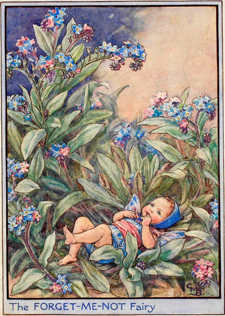 Forget-me-not flower fairy