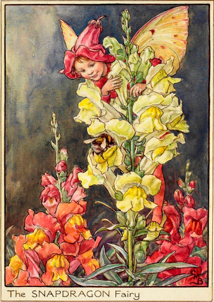 Snapdragon flower fairies