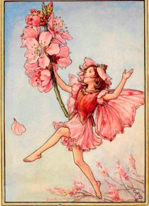 Almond blossom flower fairy