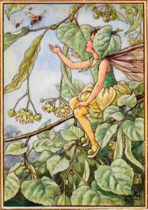 Lime tree flower fairy