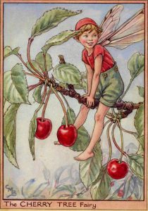 Cherry Tree flower fairy