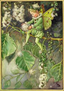 Poplar flower fairy