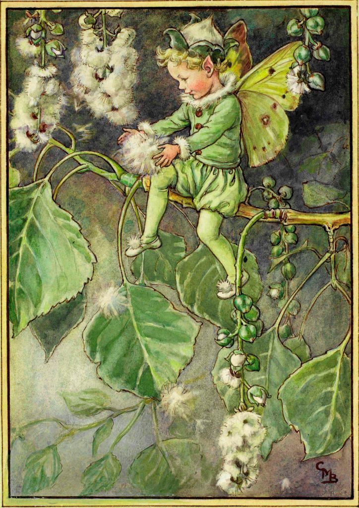 Poplar flower fairy