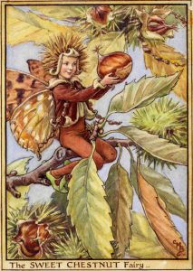 Sweet Chestnut flower fairy