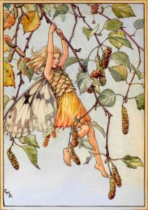 Silver birch flower fairies