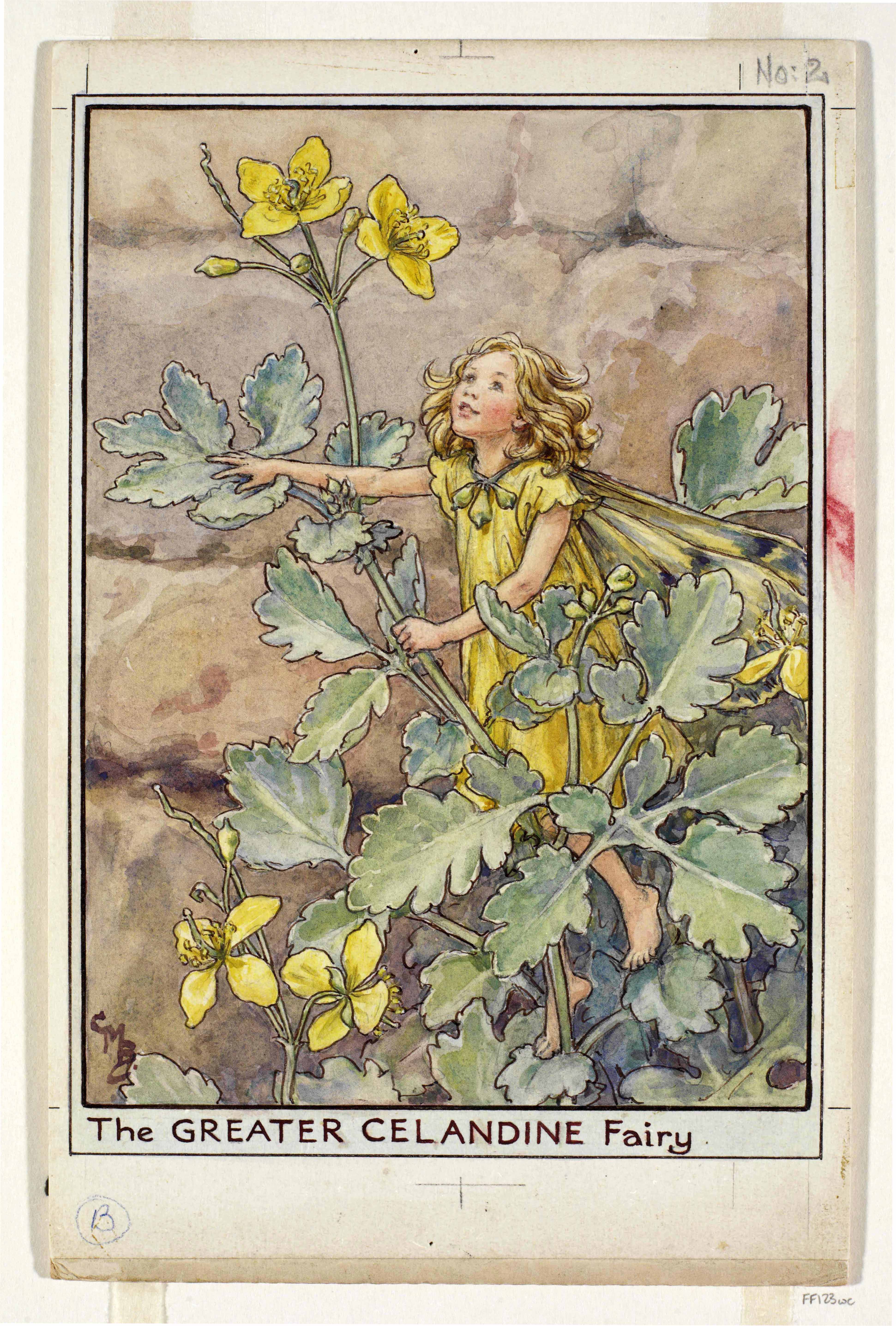 Greater celandine flower fairies