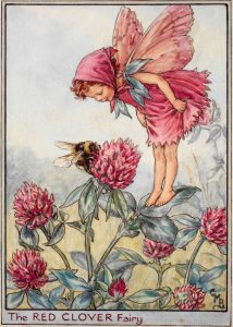 Red Clover flower fairy