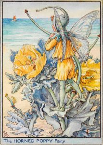 Horned poppy flower fairies