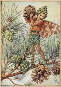 Pine tree flower fairies
