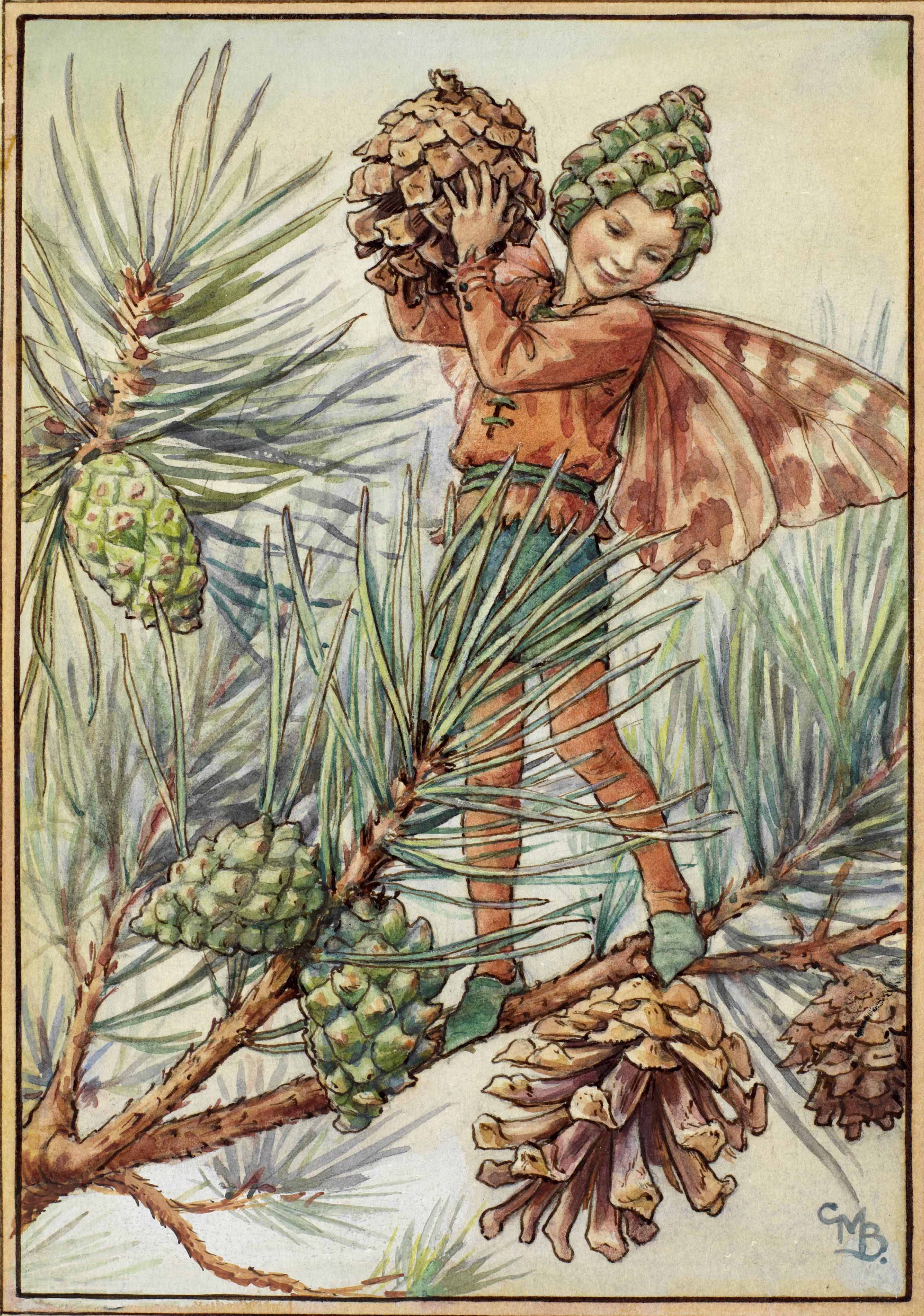 Pine tree flower fairies