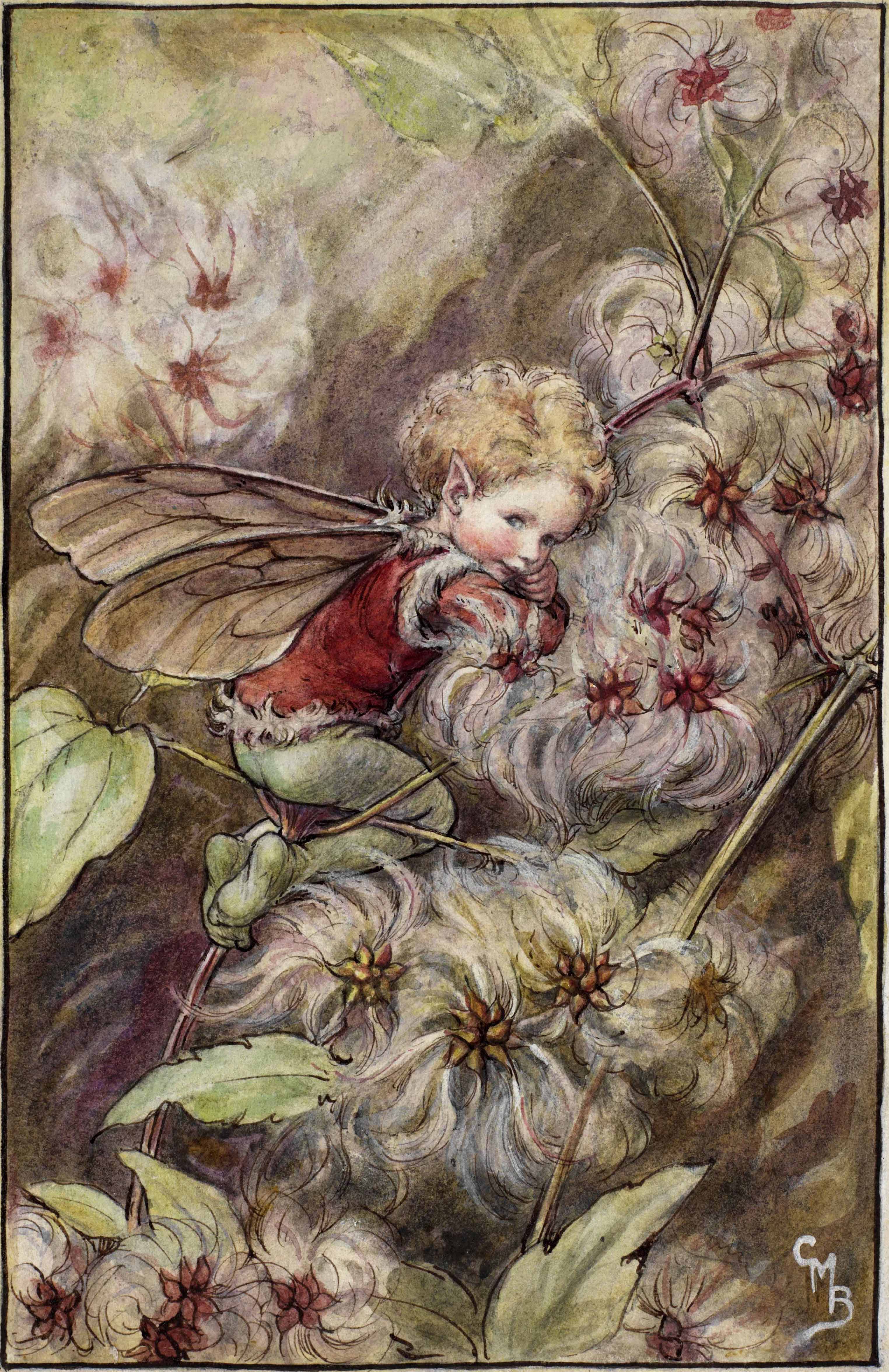 Old-man's beard flower fairies
