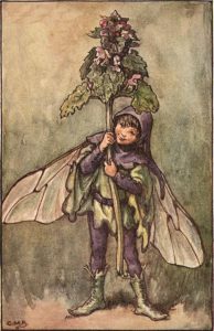 Dead nettle flower fairy
