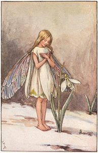 Snowdrop flower fairies